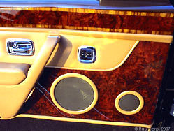 Bentley Door Panel